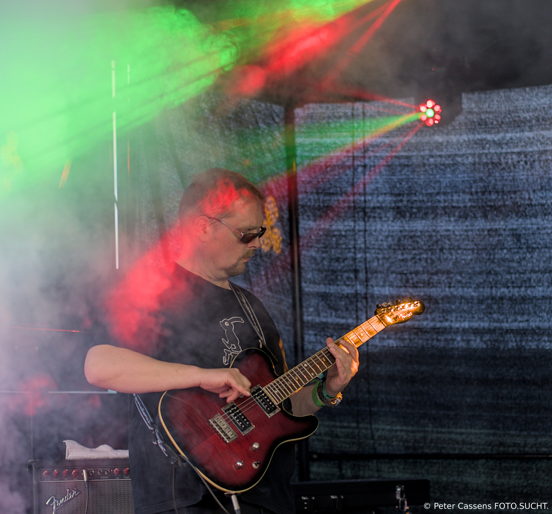 Brackenfoto26